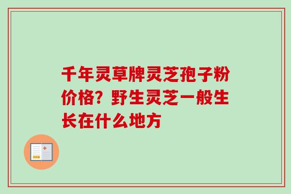千年灵草牌灵芝孢子粉价格？野生灵芝一般生长在什么地方