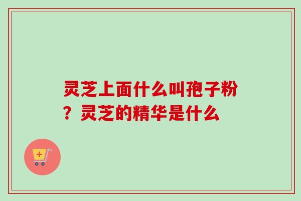 灵芝上面什么叫孢子粉？灵芝的精华是什么