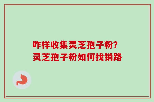 咋样收集灵芝孢子粉？灵芝孢子粉如何找销路