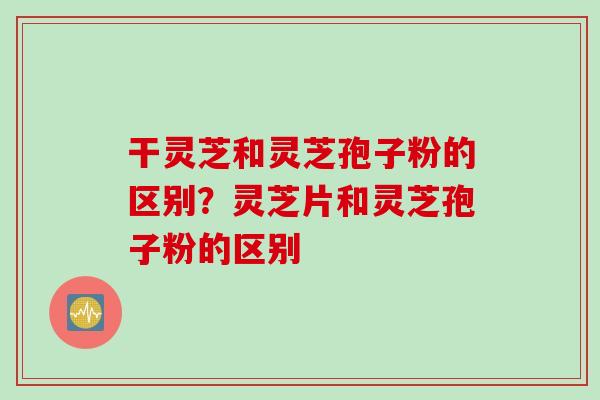 干灵芝和灵芝孢子粉的区别？灵芝片和灵芝孢子粉的区别