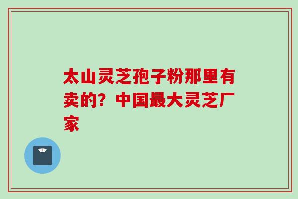 太山灵芝孢子粉那里有卖的？中国最大灵芝厂家