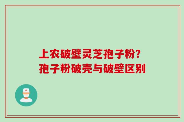 上农破壁灵芝孢子粉？孢子粉破壳与破壁区别