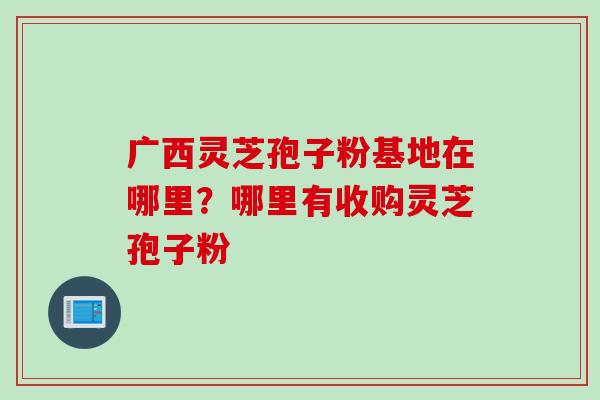 广西灵芝孢子粉基地在哪里？哪里有收购灵芝孢子粉