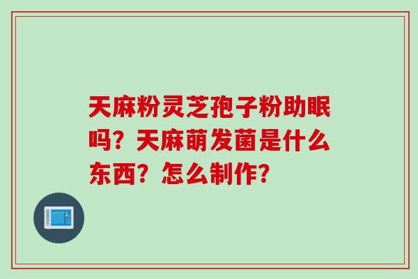 天麻粉灵芝孢子粉助眠吗？天麻萌发菌是什么东西？怎么制作？
