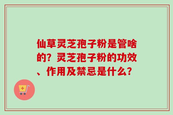 仙草灵芝孢子粉是管啥的？灵芝孢子粉的功效、作用及禁忌是什么？