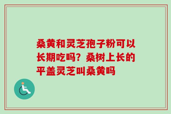 桑黄和灵芝孢子粉可以长期吃吗？桑树上长的平盖灵芝叫桑黄吗