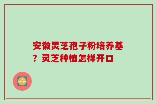 安徽灵芝孢子粉培养基？灵芝种植怎样开口