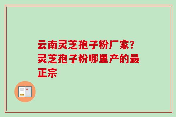 云南灵芝孢子粉厂家？灵芝孢子粉哪里产的最正宗