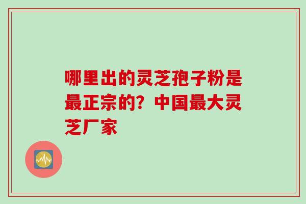 哪里出的灵芝孢子粉是最正宗的？中国最大灵芝厂家
