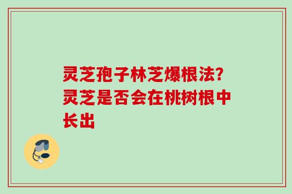灵芝孢子林芝爆根法？灵芝是否会在桃树根中长出
