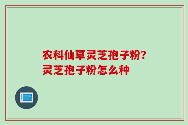 农科仙草灵芝孢子粉？灵芝孢子粉怎么种