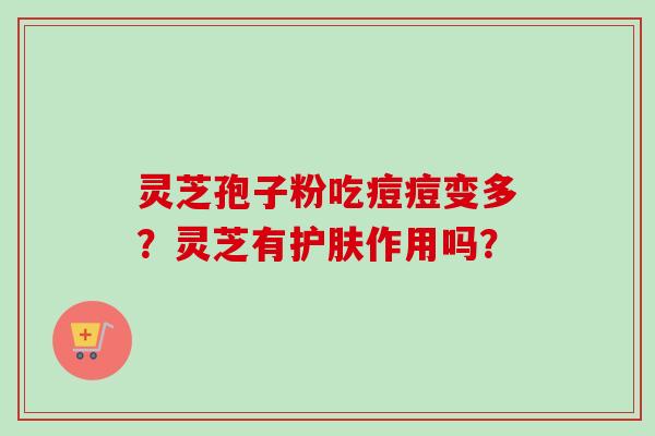 灵芝孢子粉吃痘痘变多？灵芝有护肤作用吗？