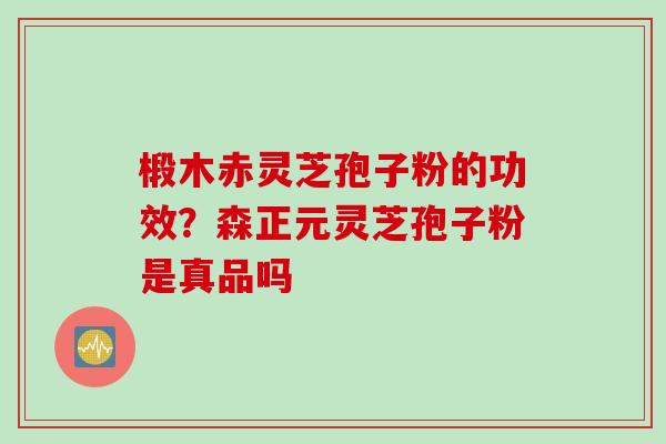 椴木赤灵芝孢子粉的功效？森正元灵芝孢子粉是真品吗