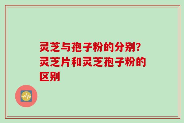 灵芝与孢子粉的分别？灵芝片和灵芝孢子粉的区别