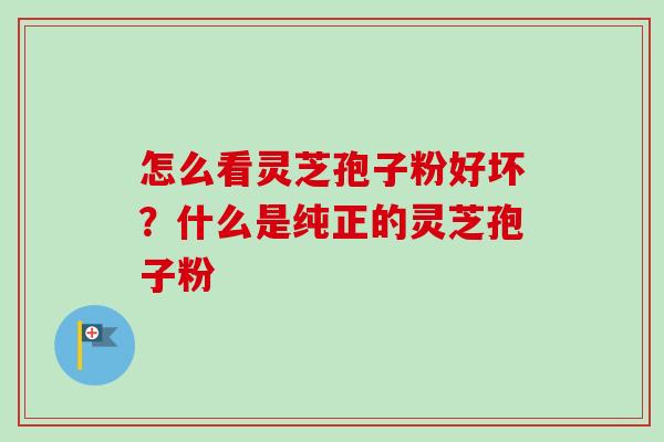 怎么看灵芝孢子粉好坏?什么是纯正的灵芝孢子粉 怎么看灵芝孢子粉好坏?什么是纯正的灵芝孢子粉