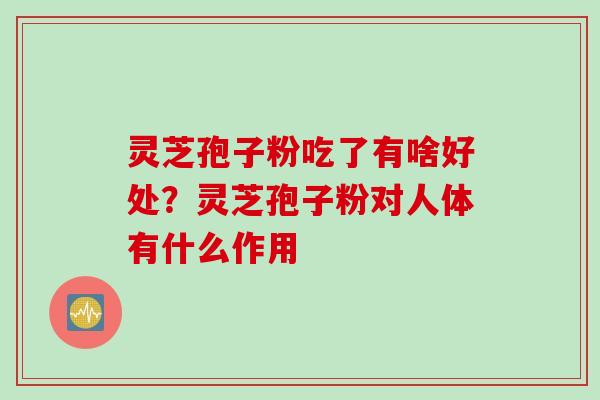 灵芝孢子粉吃了有啥好处？灵芝孢子粉对人体有什么作用