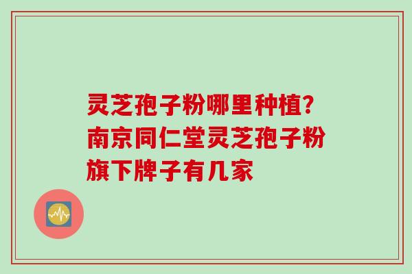 灵芝孢子粉哪里种植？南京同仁堂灵芝孢子粉旗下牌子有几家