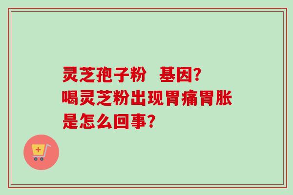 灵芝孢子粉  基因？喝灵芝粉出现胃痛胃胀是怎么回事？