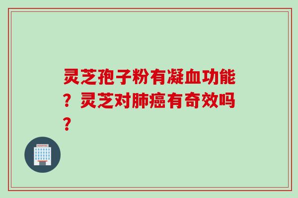 灵芝孢子粉有凝血功能？灵芝对肺癌有奇效吗？