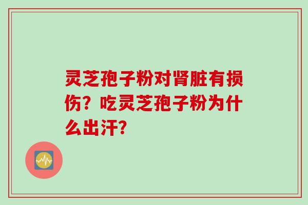 灵芝孢子粉对肾脏有损伤？吃灵芝孢子粉为什么出汗？