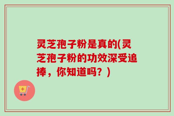 灵芝孢子粉是真的(灵芝孢子粉的功效深受追捧，你知道吗？)
