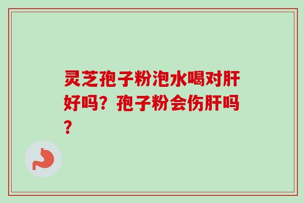 灵芝孢子粉泡水喝对肝好吗？孢子粉会伤肝吗？