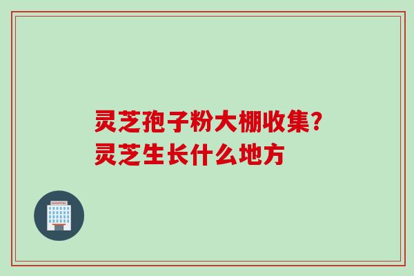 灵芝孢子粉大棚收集？灵芝生长什么地方