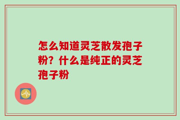 怎么知道灵芝散发孢子粉？什么是纯正的灵芝孢子粉