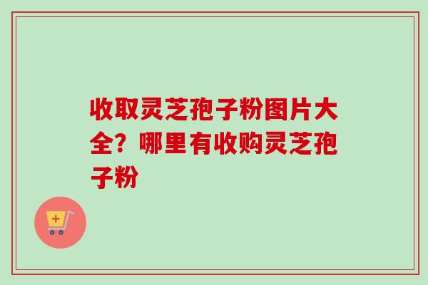 收取灵芝孢子粉图片大全？哪里有收购灵芝孢子粉