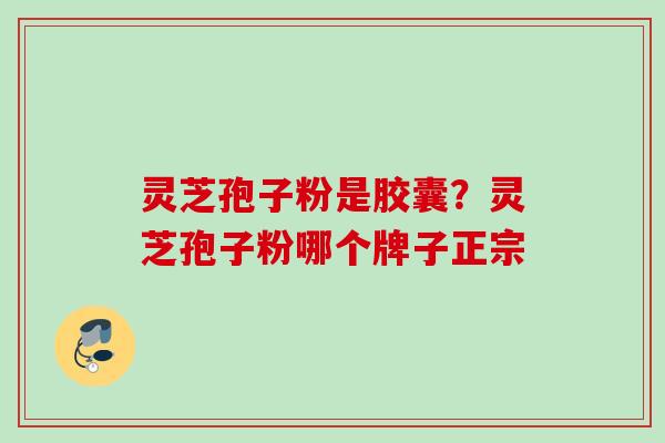灵芝孢子粉是胶囊？灵芝孢子粉哪个牌子正宗