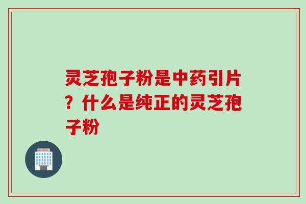 灵芝孢子粉是中药引片？什么是纯正的灵芝孢子粉
