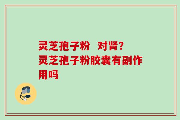 灵芝孢子粉  对肾？灵芝孢子粉胶囊有副作用吗