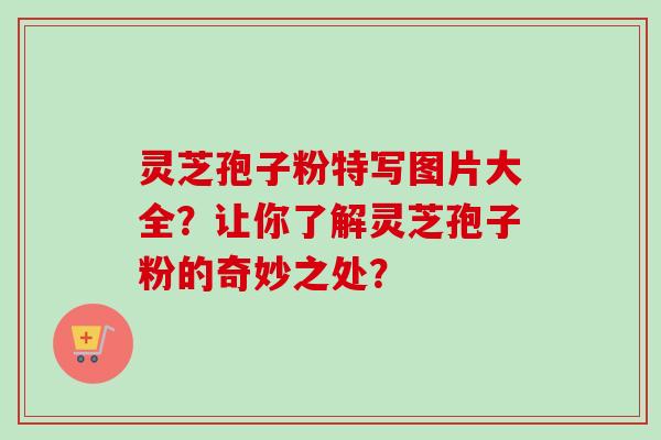 灵芝孢子粉特写图片大全？让你了解灵芝孢子粉的奇妙之处？