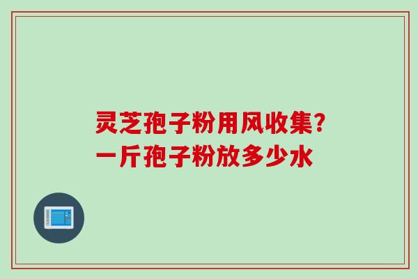 灵芝孢子粉用风收集？一斤孢子粉放多少水