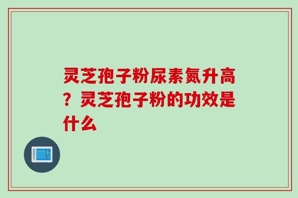 灵芝孢子粉尿素氮升高？灵芝孢子粉的功效是什么