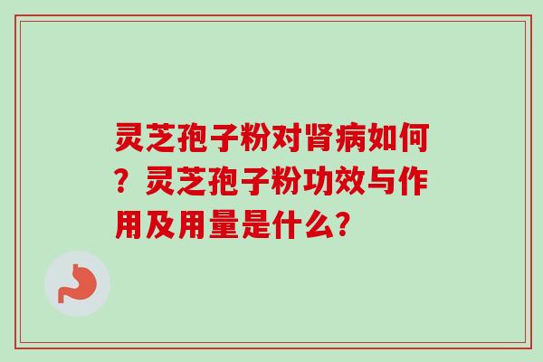 灵芝孢子粉对肾病如何？灵芝孢子粉功效与作用及用量是什么？