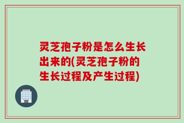 灵芝孢子粉是怎么生长出来的(灵芝孢子粉的生长过程及产生过程)
