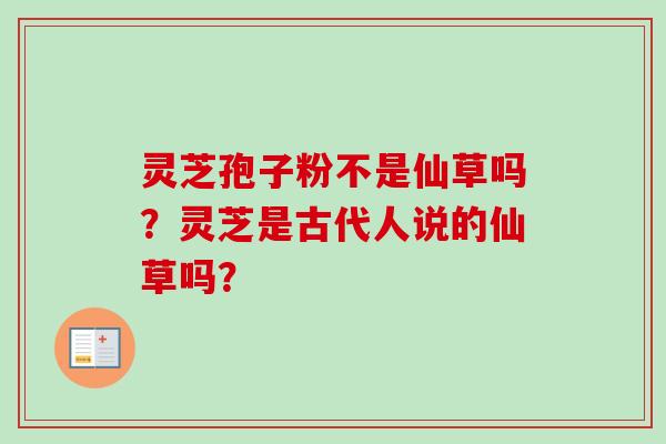 灵芝孢子粉不是仙草吗？灵芝是古代人说的仙草吗？