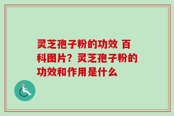 灵芝孢子粉的功效 百科图片？灵芝孢子粉的功效和作用是什么
