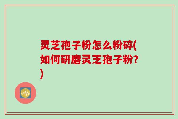 灵芝孢子粉怎么粉碎(如何研磨灵芝孢子粉？)