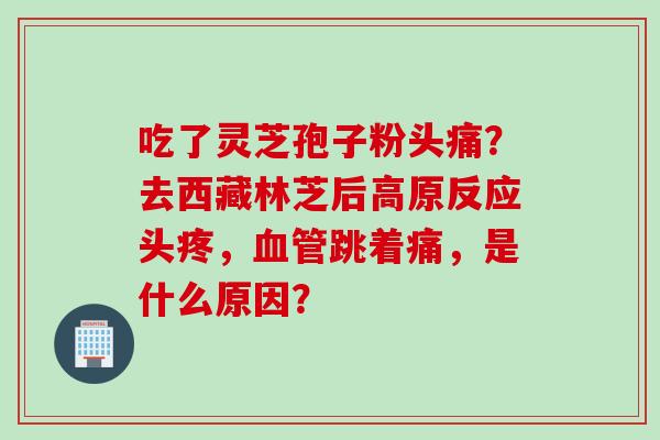 吃了灵芝孢子粉头痛？去西藏林芝后高原反应头疼，血管跳着痛，是什么原因？