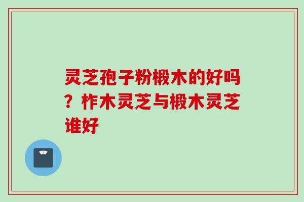 灵芝孢子粉椴木的好吗？柞木灵芝与椴木灵芝谁好