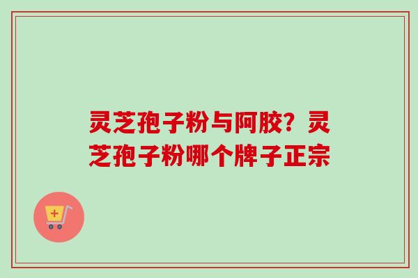 灵芝孢子粉与阿胶？灵芝孢子粉哪个牌子正宗
