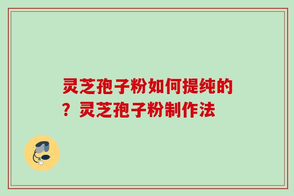 灵芝孢子粉如何提纯的？灵芝孢子粉制作法