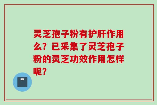 灵芝孢子粉有护肝作用么？已采集了灵芝孢子粉的灵芝功效作用怎样呢？