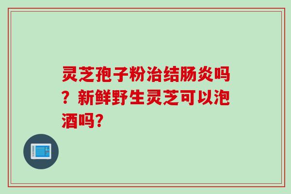 灵芝孢子粉治结肠炎吗？新鲜野生灵芝可以泡酒吗？