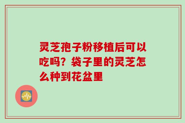 灵芝孢子粉移植后可以吃吗？袋子里的灵芝怎么种到花盆里