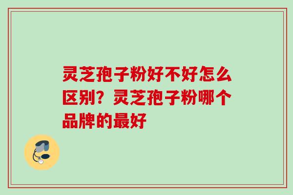 灵芝孢子粉好不好怎么区别?灵芝孢子粉哪个品牌的好 灵芝孢子粉好不好怎么区别?灵芝孢子粉哪个品牌的好