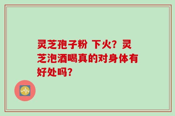灵芝孢子粉 下火？灵芝泡酒喝真的对身体有好处吗？