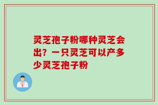 灵芝孢子粉哪种灵芝会出？一只灵芝可以产多少灵芝孢子粉